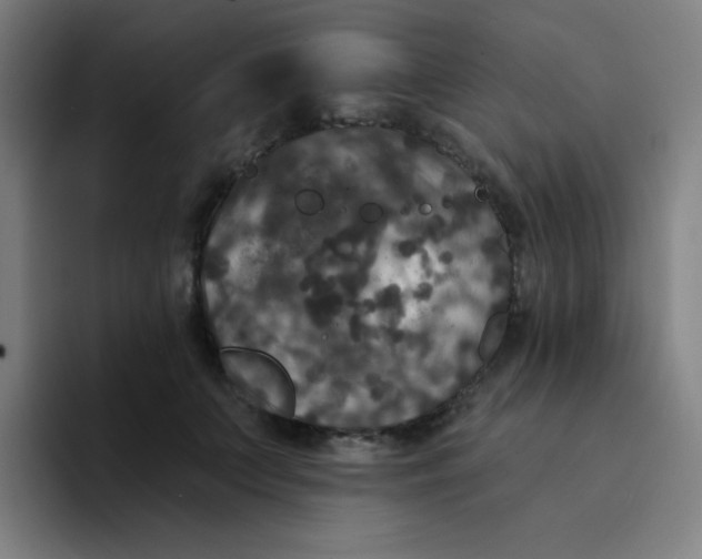 X0000094230703200711161909