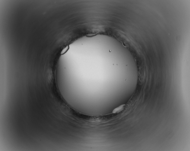 X0000094230704200711161909