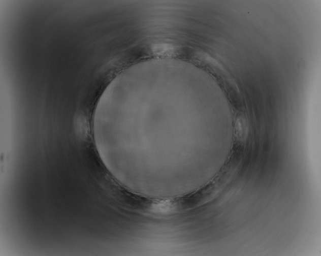 X0000094230705200711161909