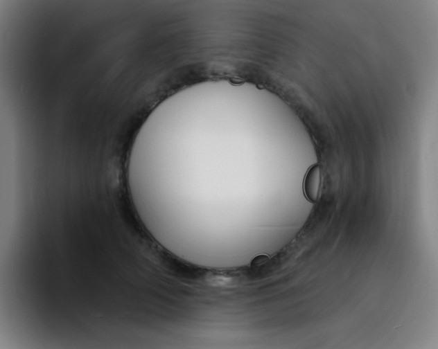 X0000094230706200711161909