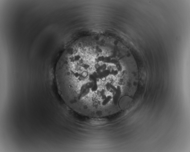 X0000094230707200711161909