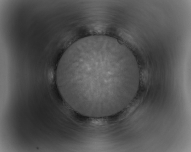 X0000094230709200711161909