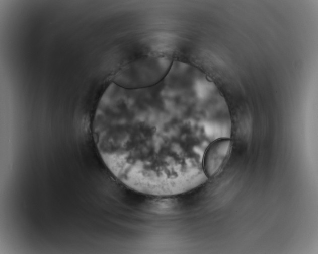 X0000094230711200711161909