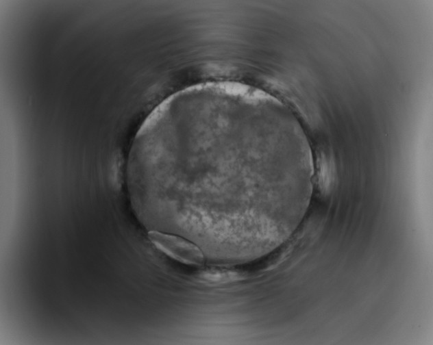 X0000094230712200711161909