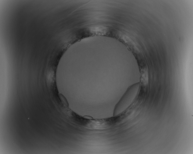 X0000094230713200711161909