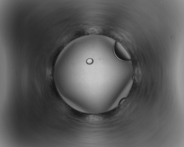 X0000094230714200711161909