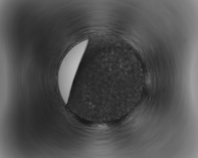 X0000094230715200711161909