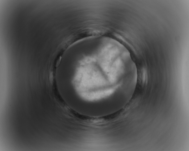 X0000094230716200711161909