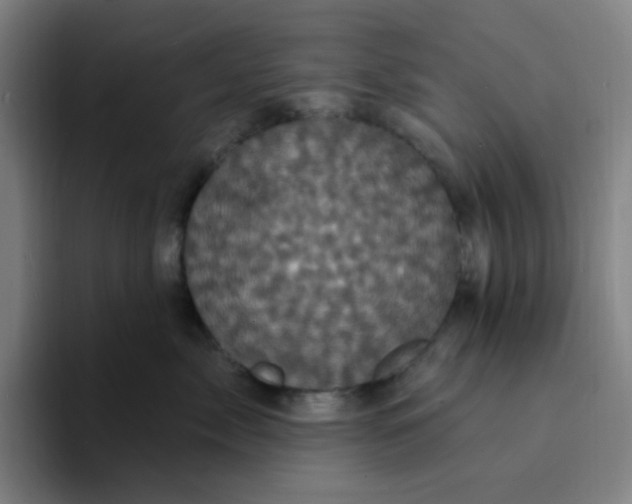 X0000094230717200711161909