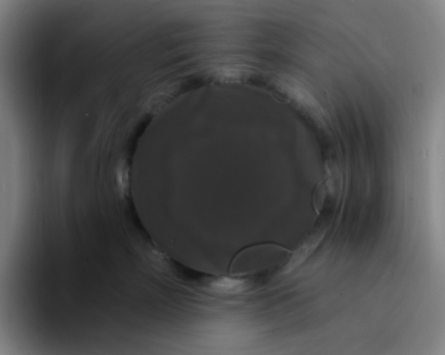 X0000094230718200711161909