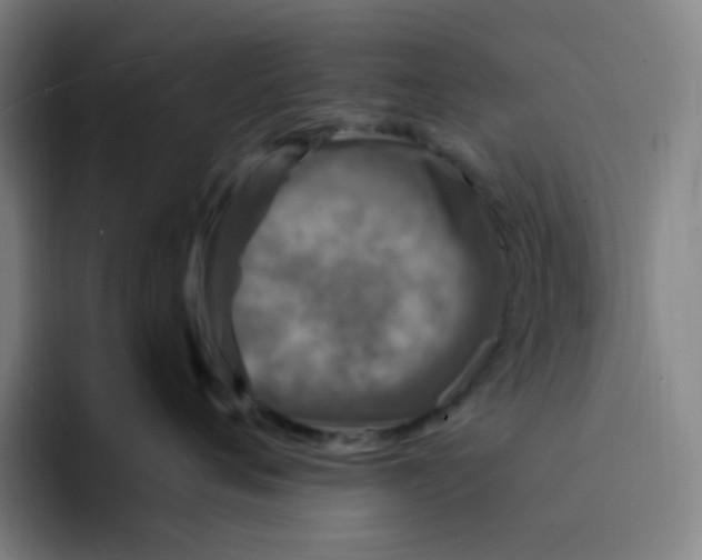 X0000094230720200711161909