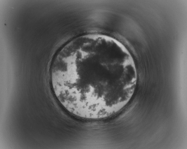 X0000094230721200711161908