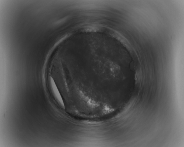 X0000094230722200711161908