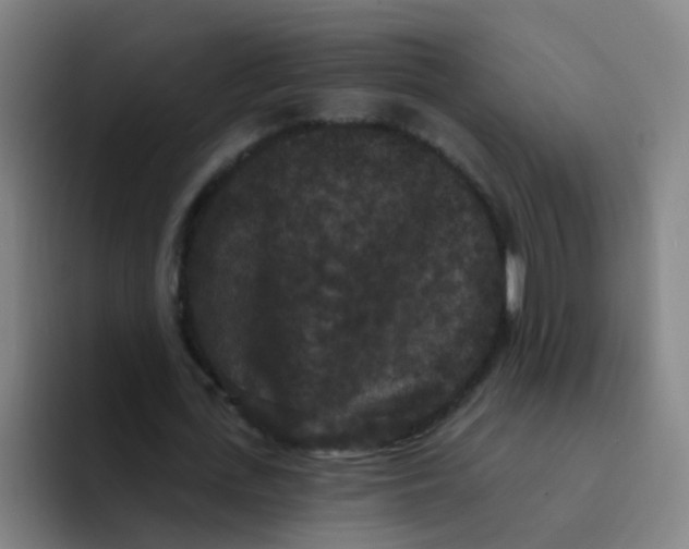 X0000094230723200711161909