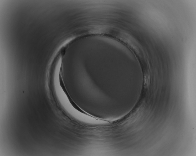 X0000094230724200711161909