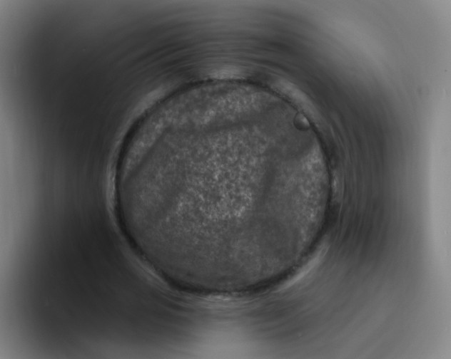 X0000094230725200711161909