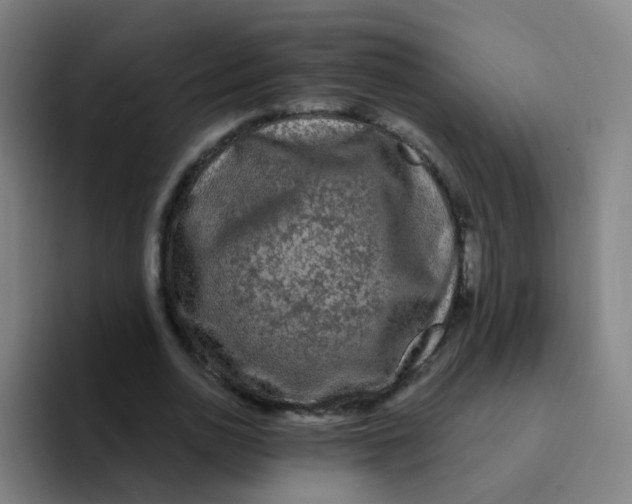 X0000094230726200711161909