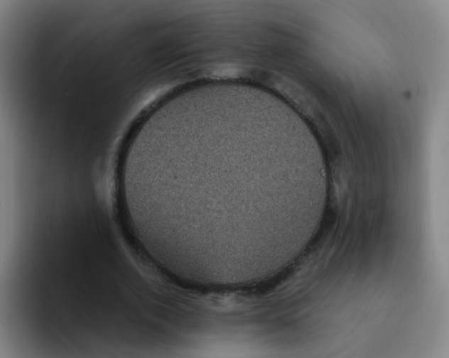 X0000094230728200711161909