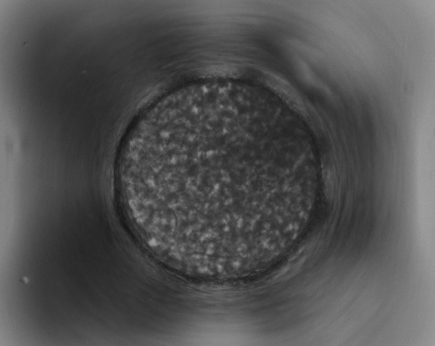 X0000094230729200711161909