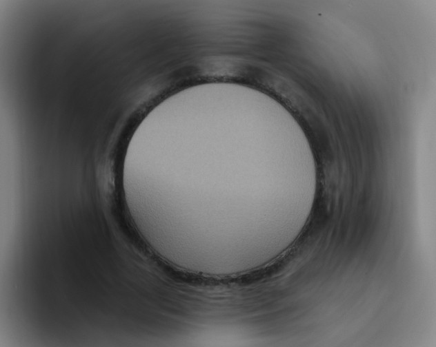 X0000094230731200711161909