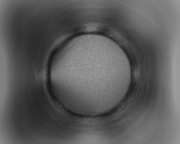 X0000094230732200711161909