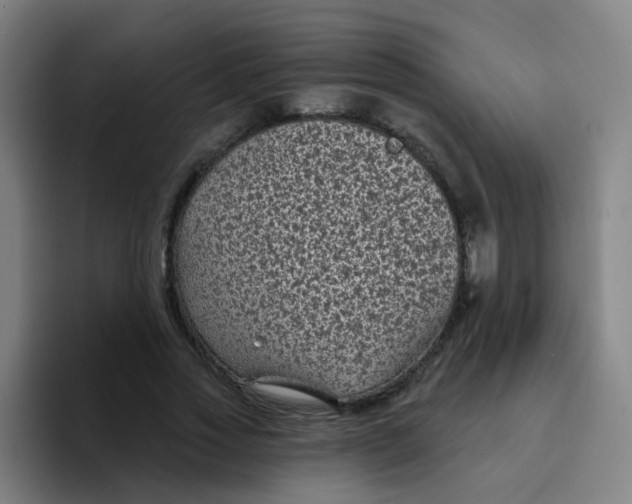 X0000094230733200711161909