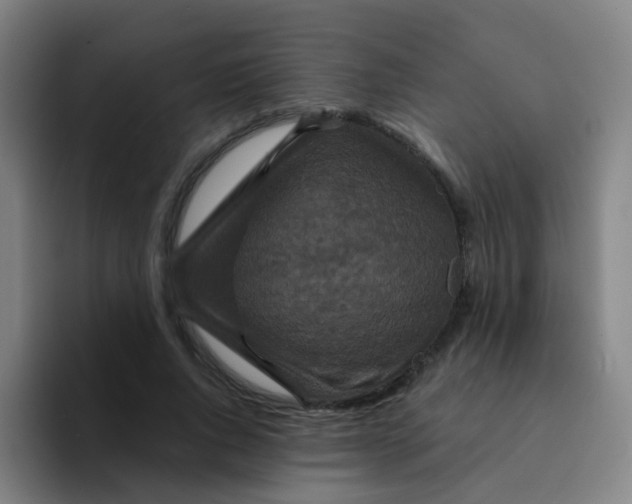 X0000094230736200711161909