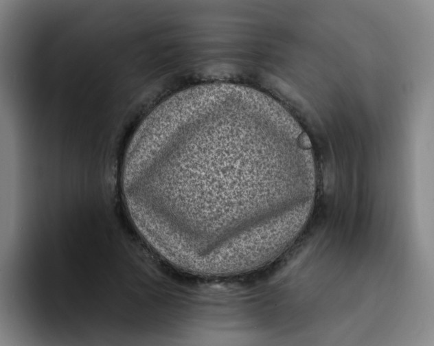 X0000094230737200711161909