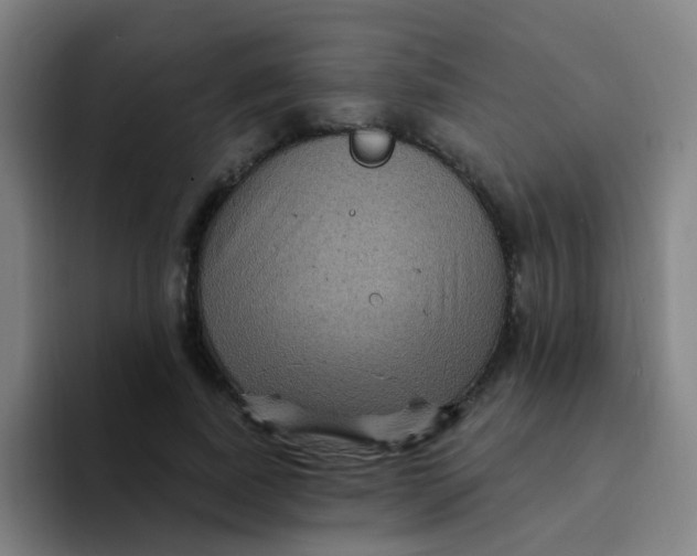 X0000094230739200711161909