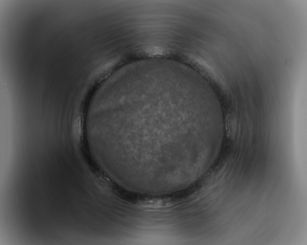 X0000094230740200711161909