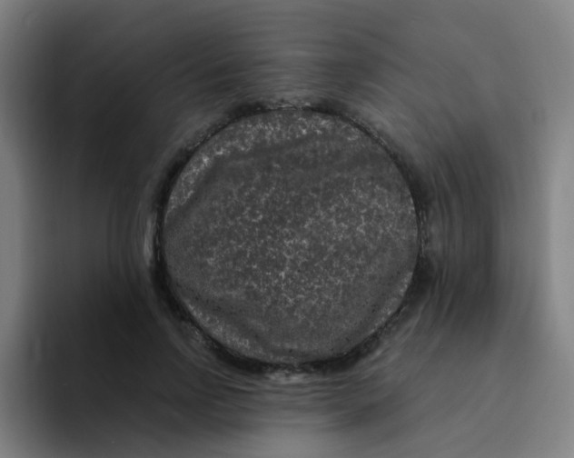 X0000094230742200711161909