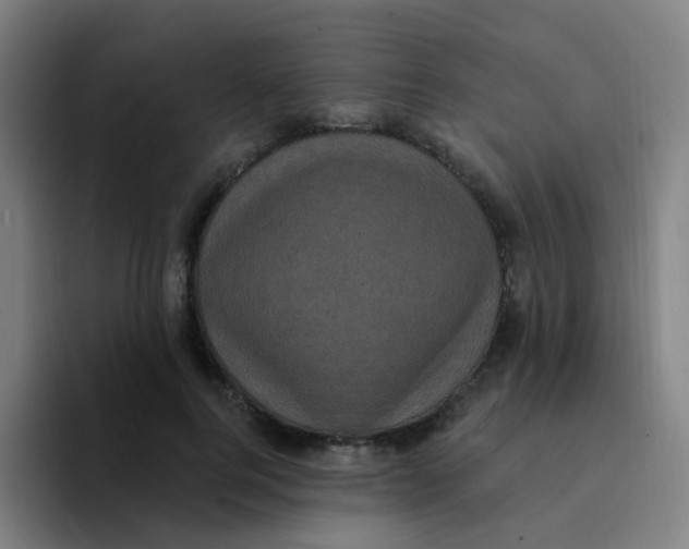 X0000094230744200711161909