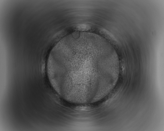 X0000094230745200711161909