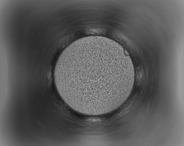 X0000094230749200711161909