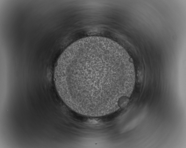 X0000094230753200711161909