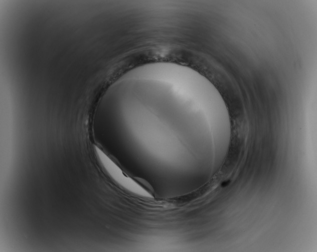 X0000094230754200711161909