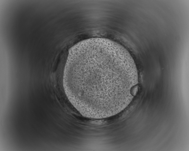 X0000094230757200711161909