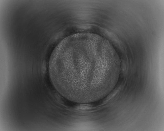 X0000094230758200711161909