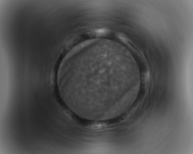 X0000094230760200711161909