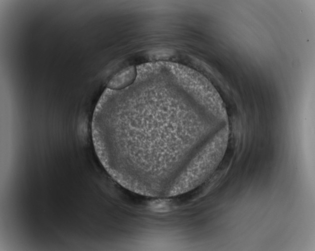 X0000094230761200711161909