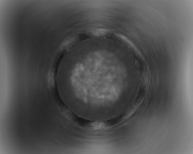 X0000094230762200711161909