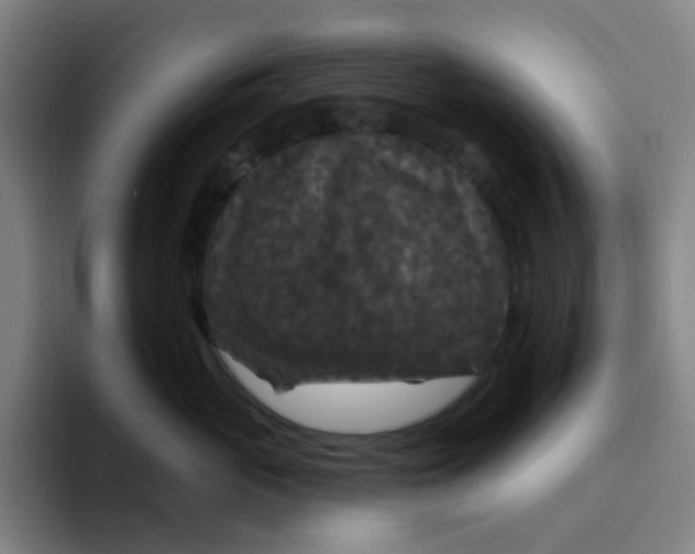 X0000094230765200711161909