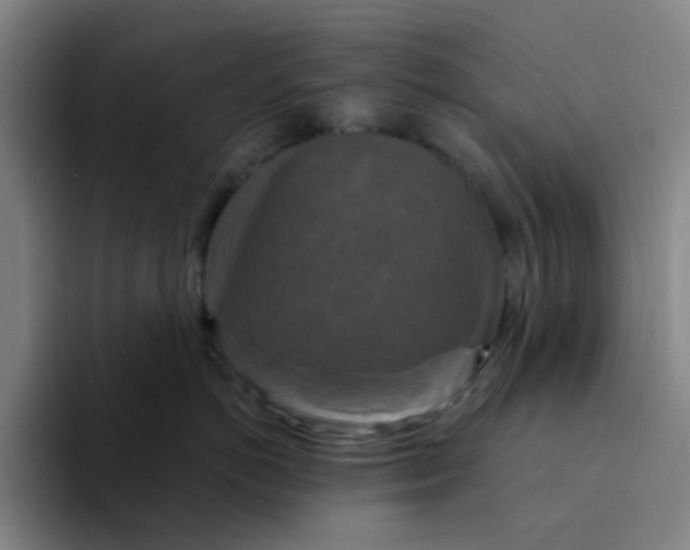 X0000094230766200711161909