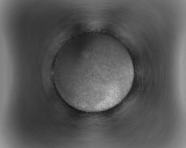 X0000094230769200711161908