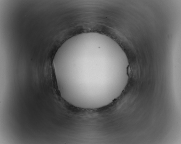 X0000094230770200711161908