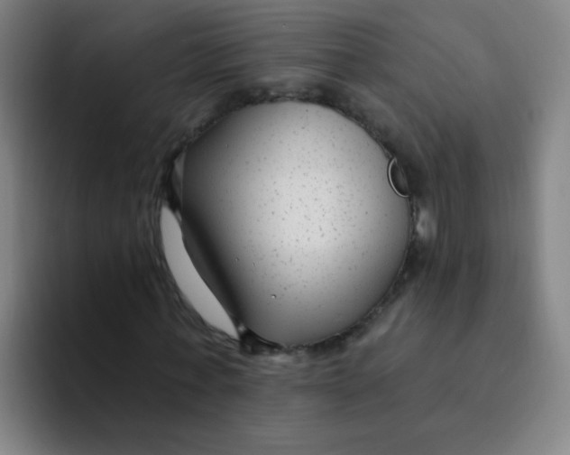 X0000094230771200711161908