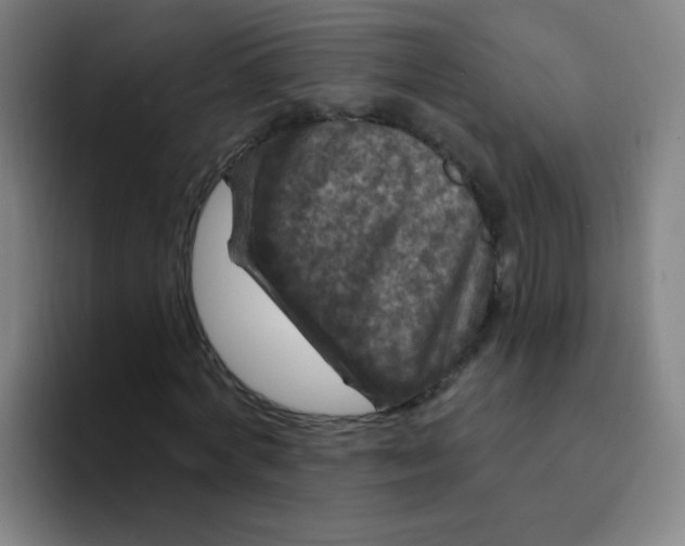 X0000094230772200711161908