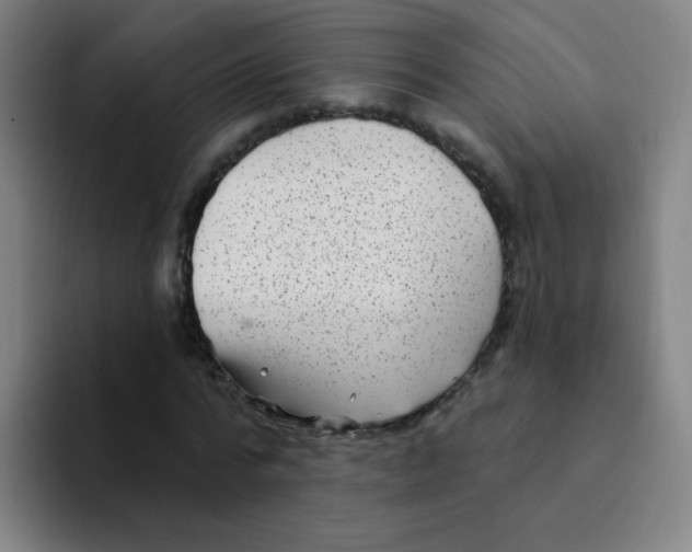 X0000094230776200711161908