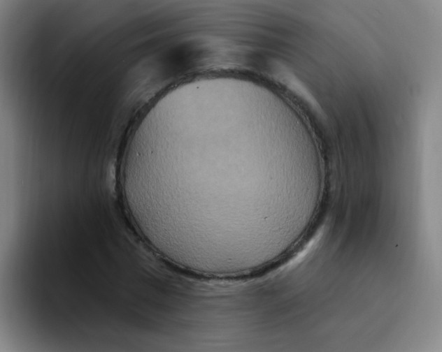 X0000094230777200711161908