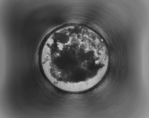 X0000094230779200711161908